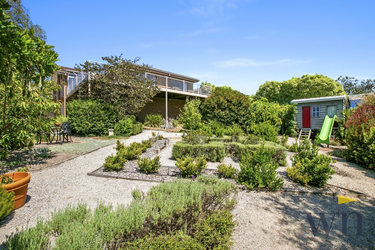 Image of garden