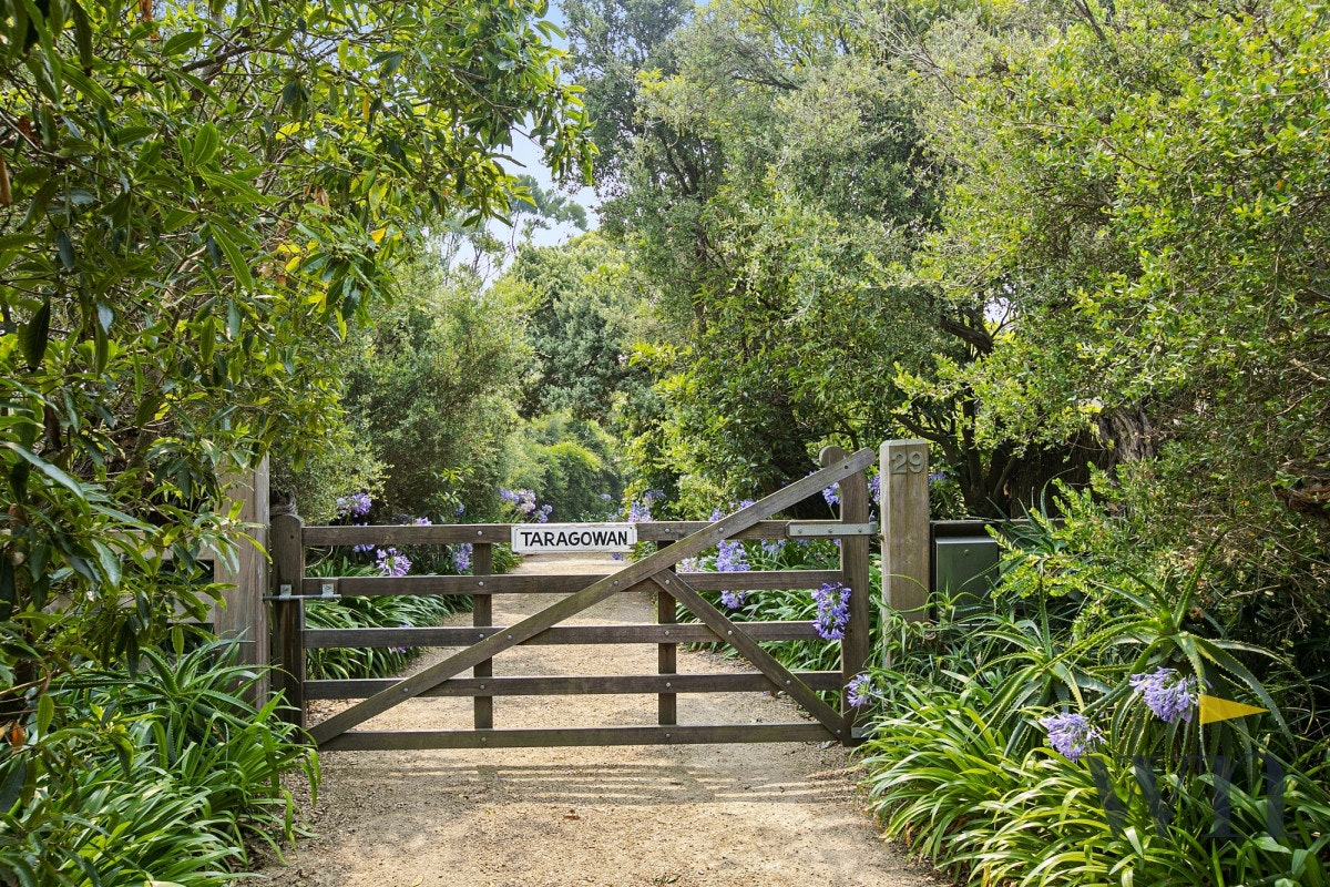 Image of garden