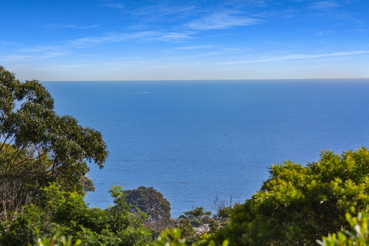 Image of nature