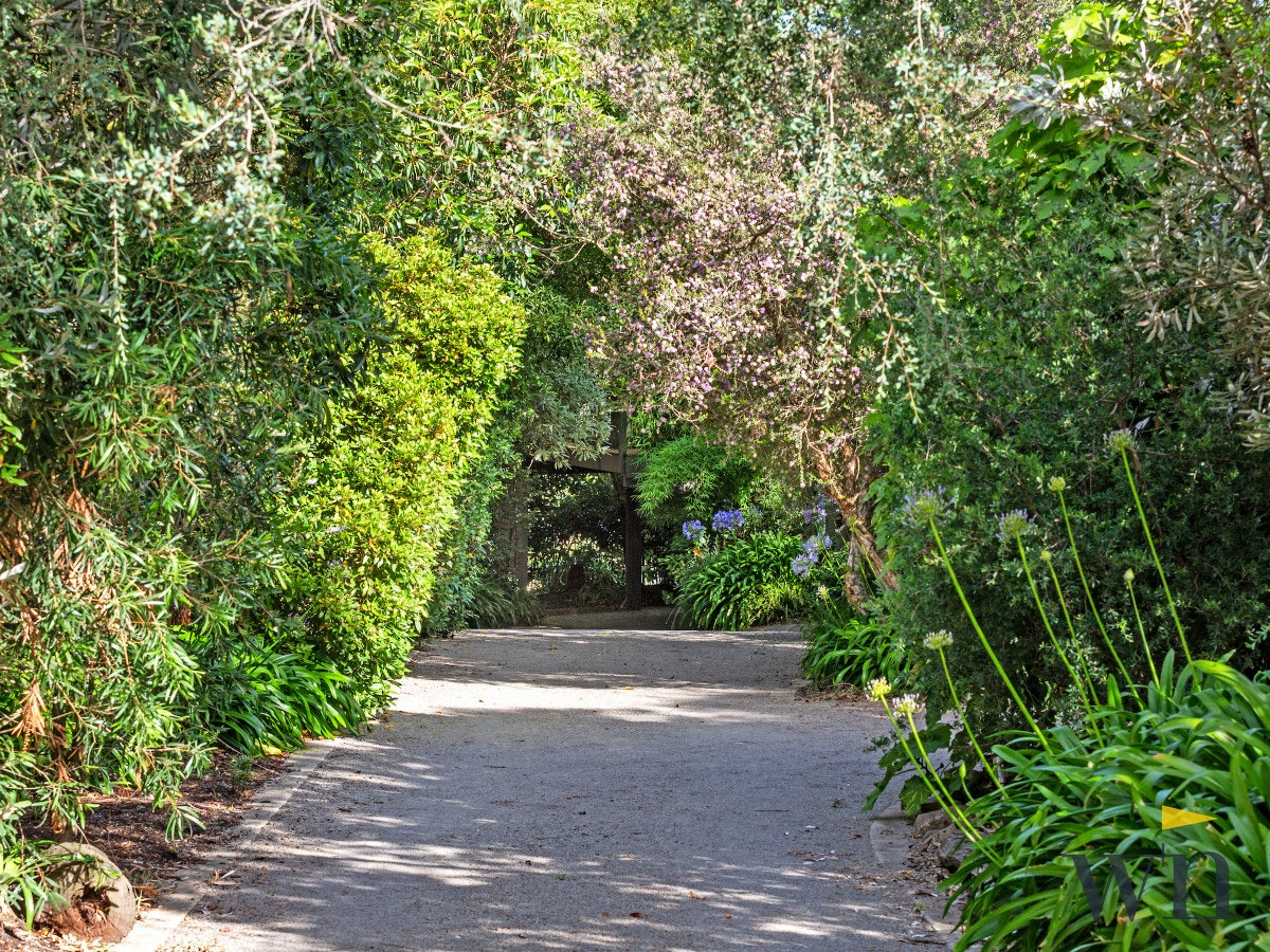 Image of garden