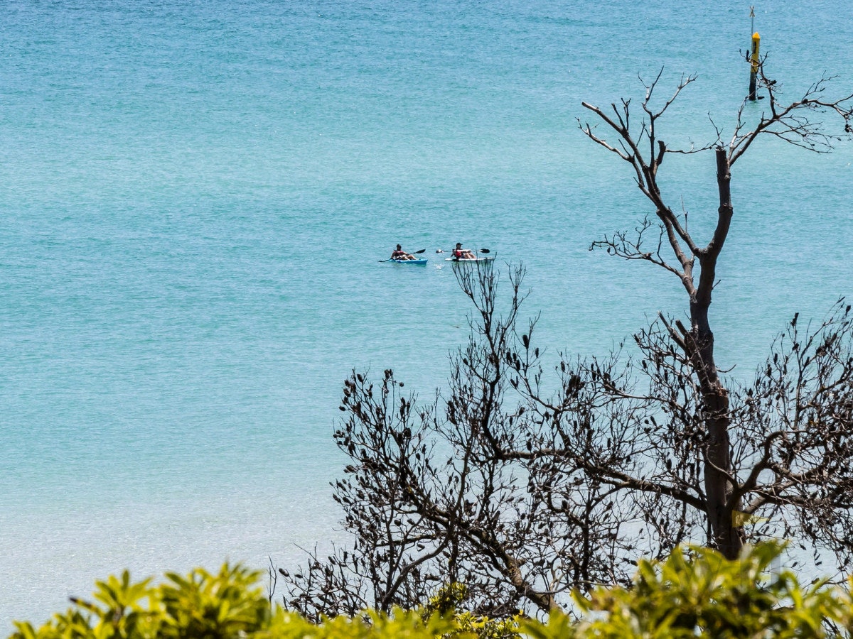 Image of summer