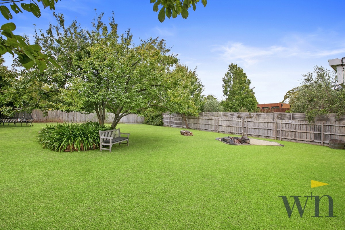 Image of backyard