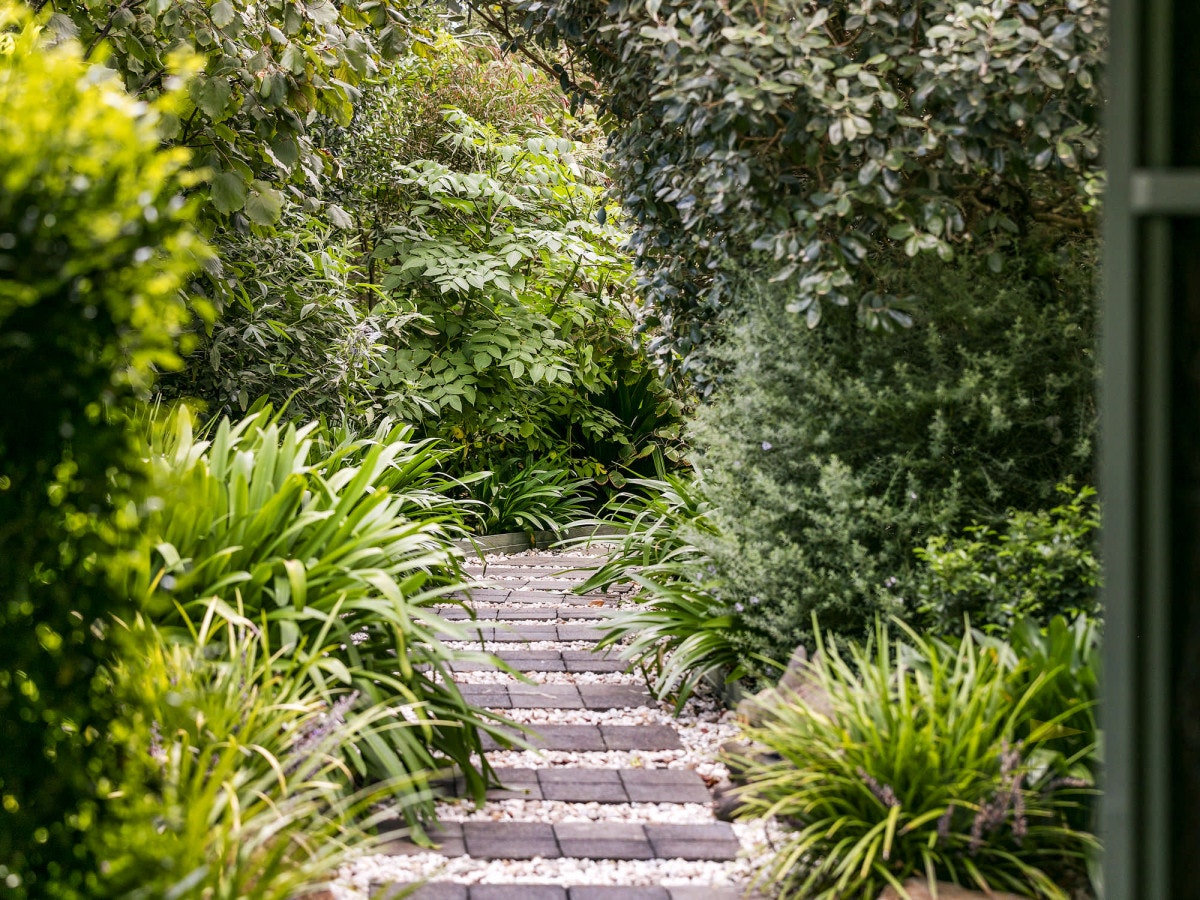 Image of path