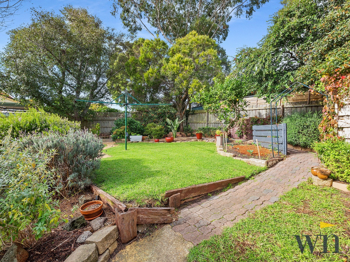 Image of backyard