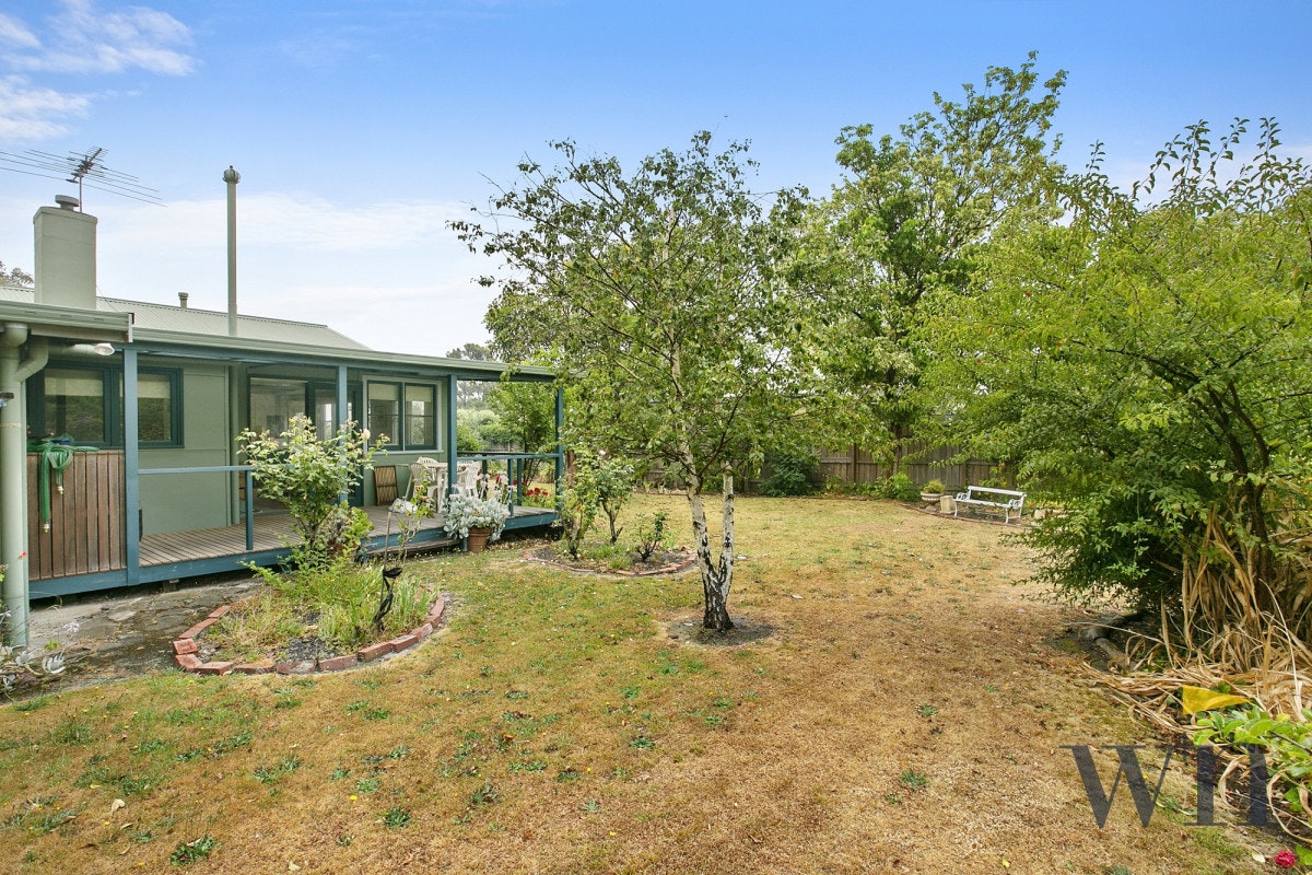 Image of backyard