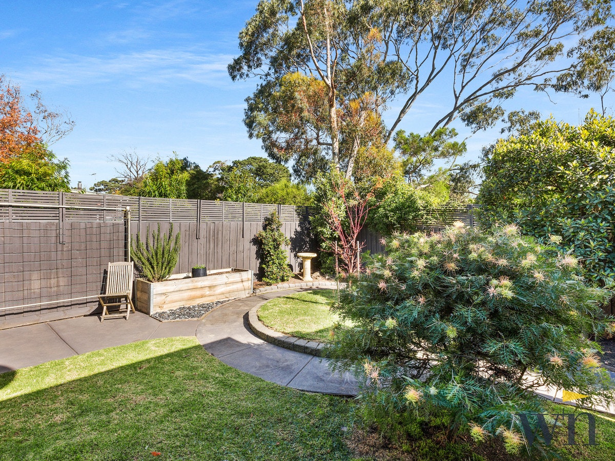 Image of backyard