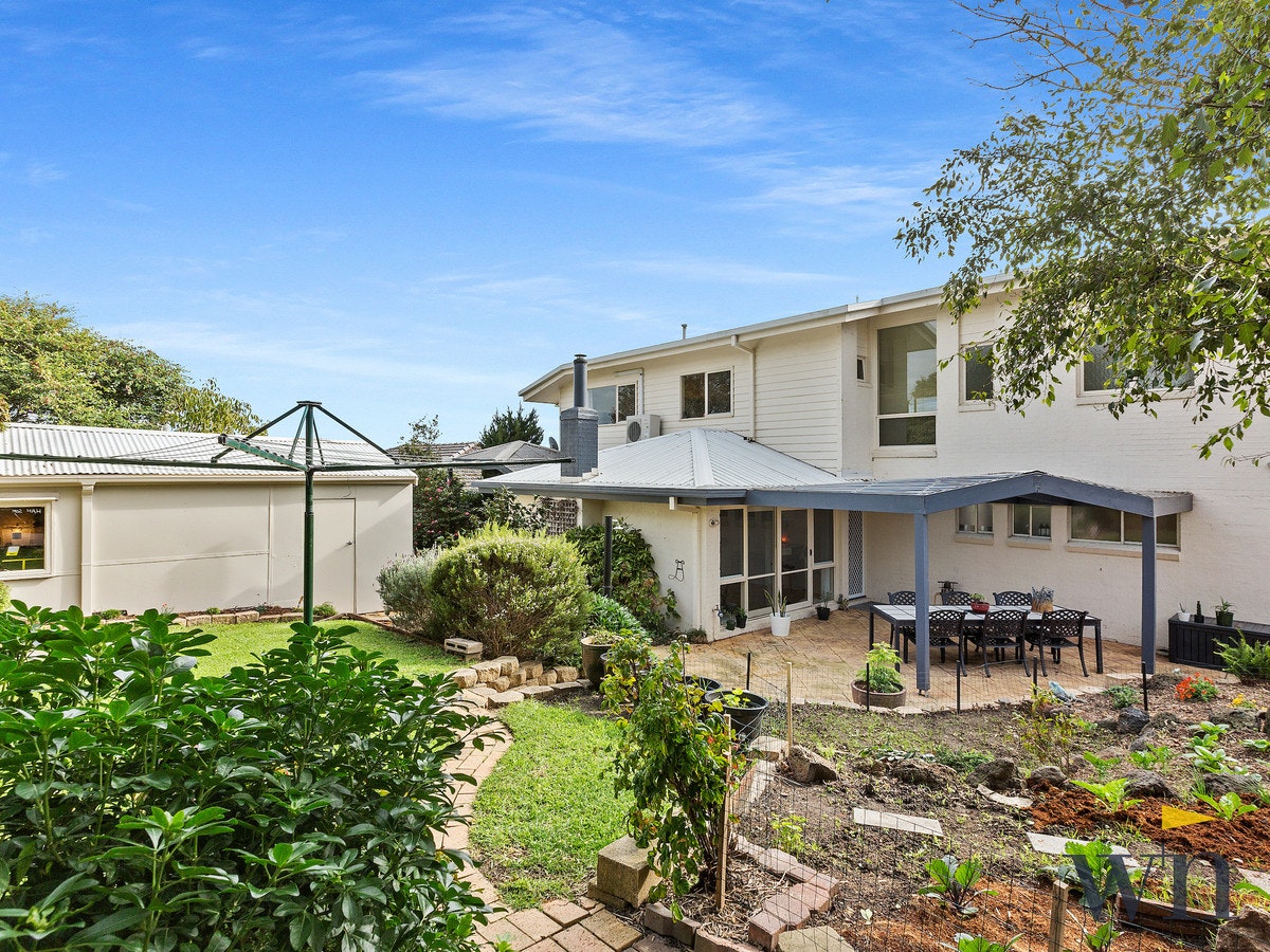 Image of backyard