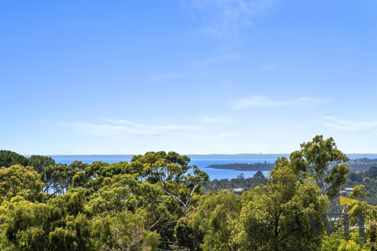 Image of vegetation