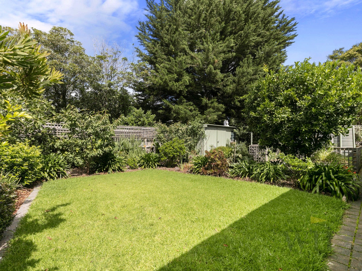 Image of backyard