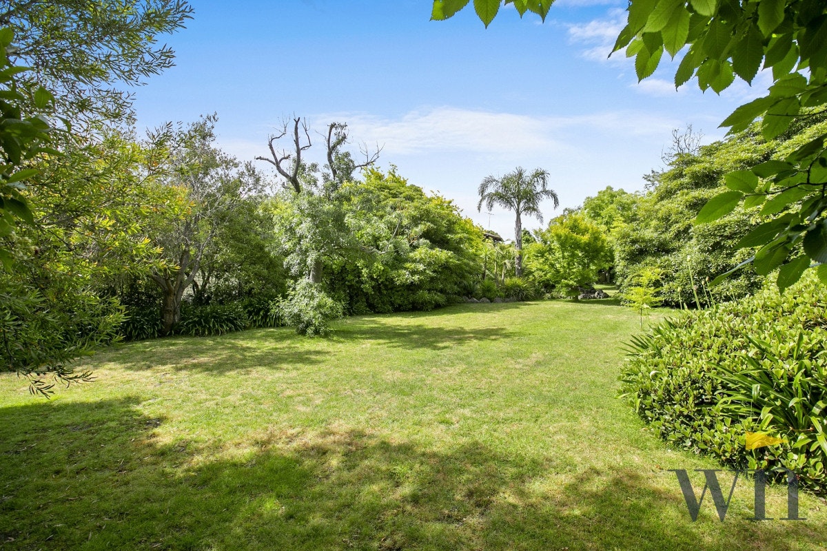 Image of grass