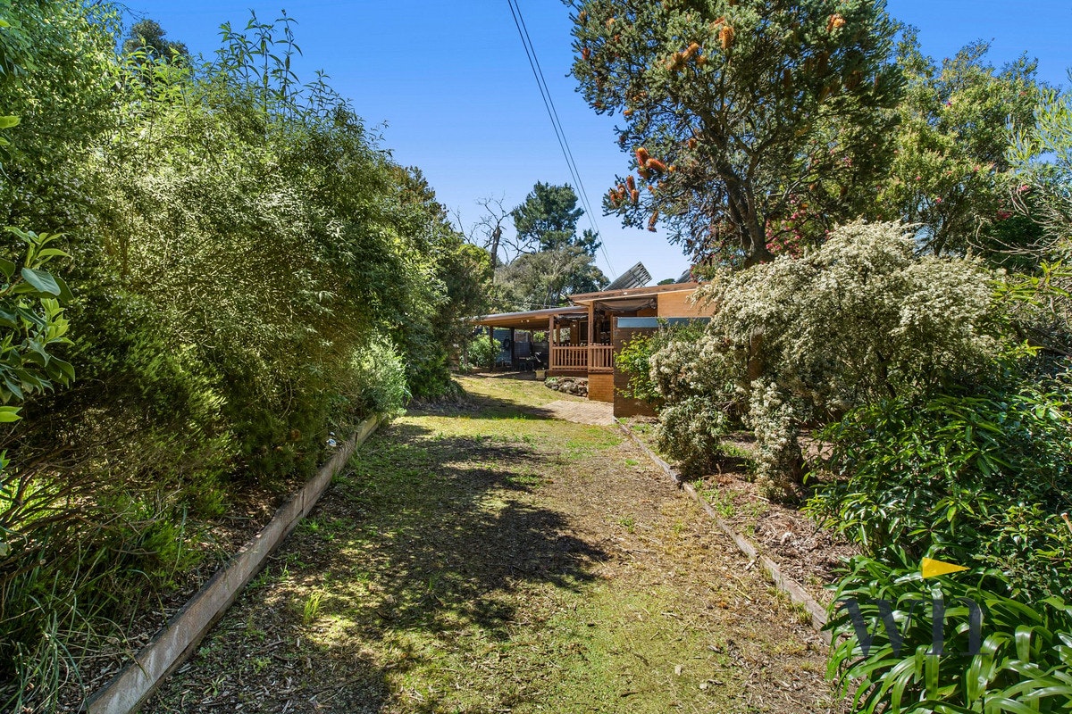 Image of garden