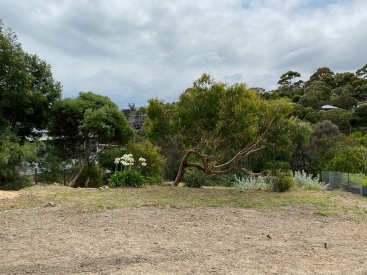 Image of vegetation