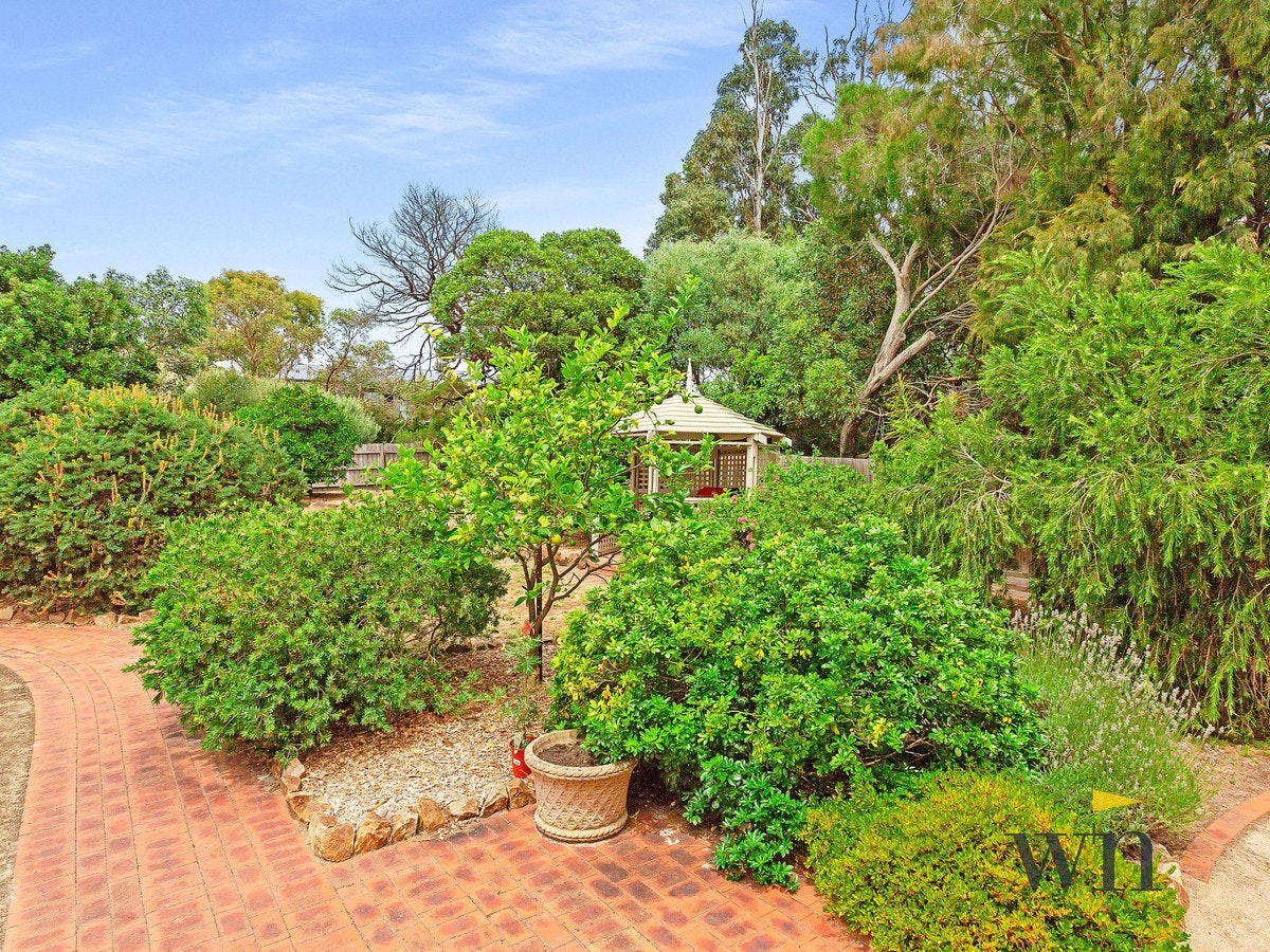Image of garden