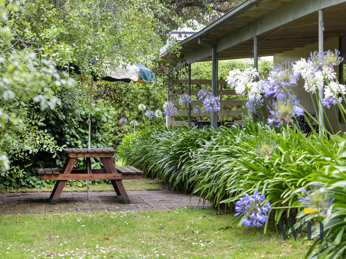Image of garden