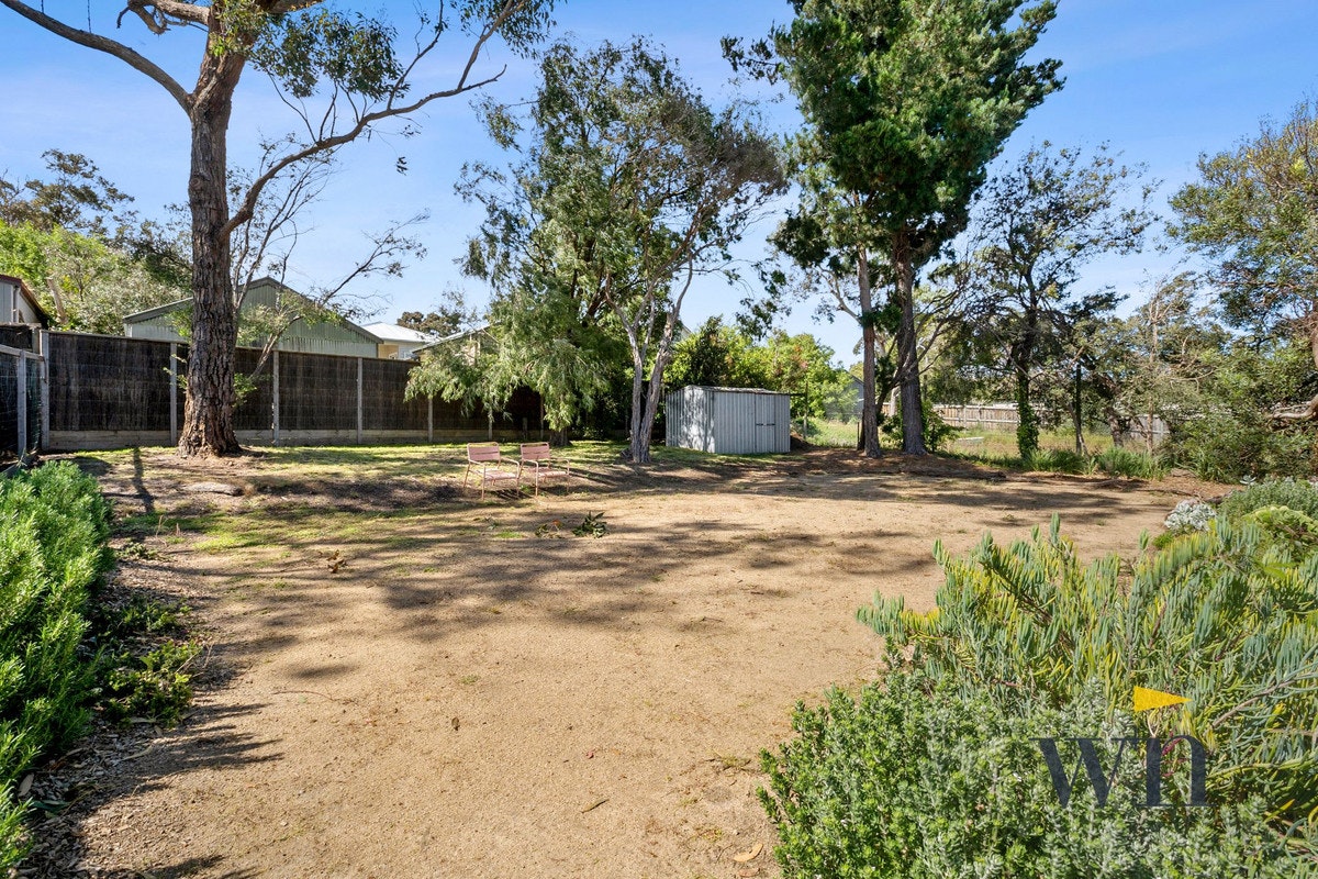 Image of backyard