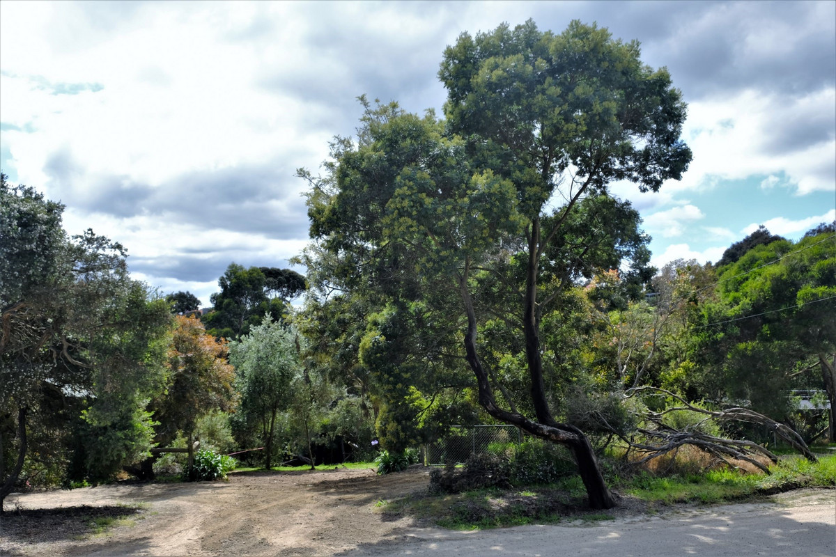 31 Finlayson Avenue, Mount Martha - Thumbnail 6