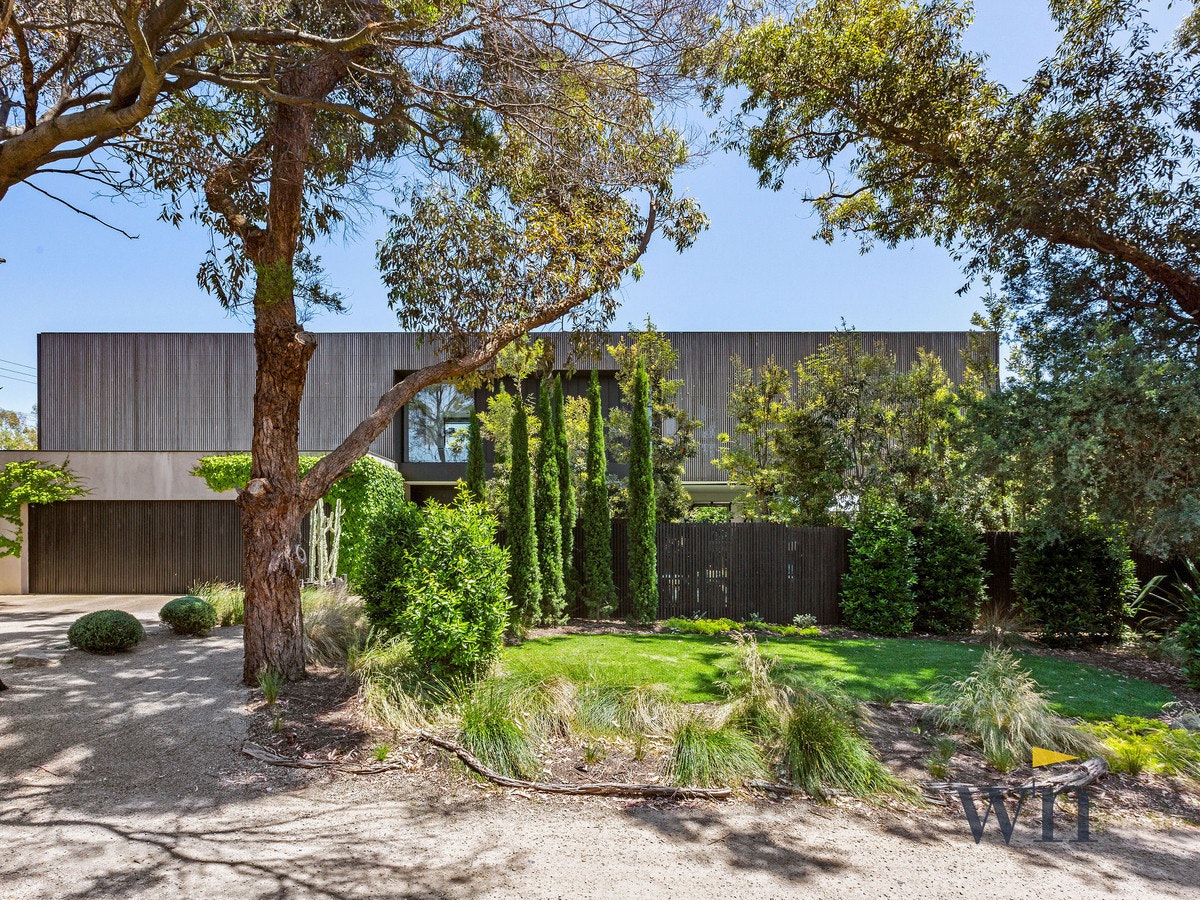 Image of backyard