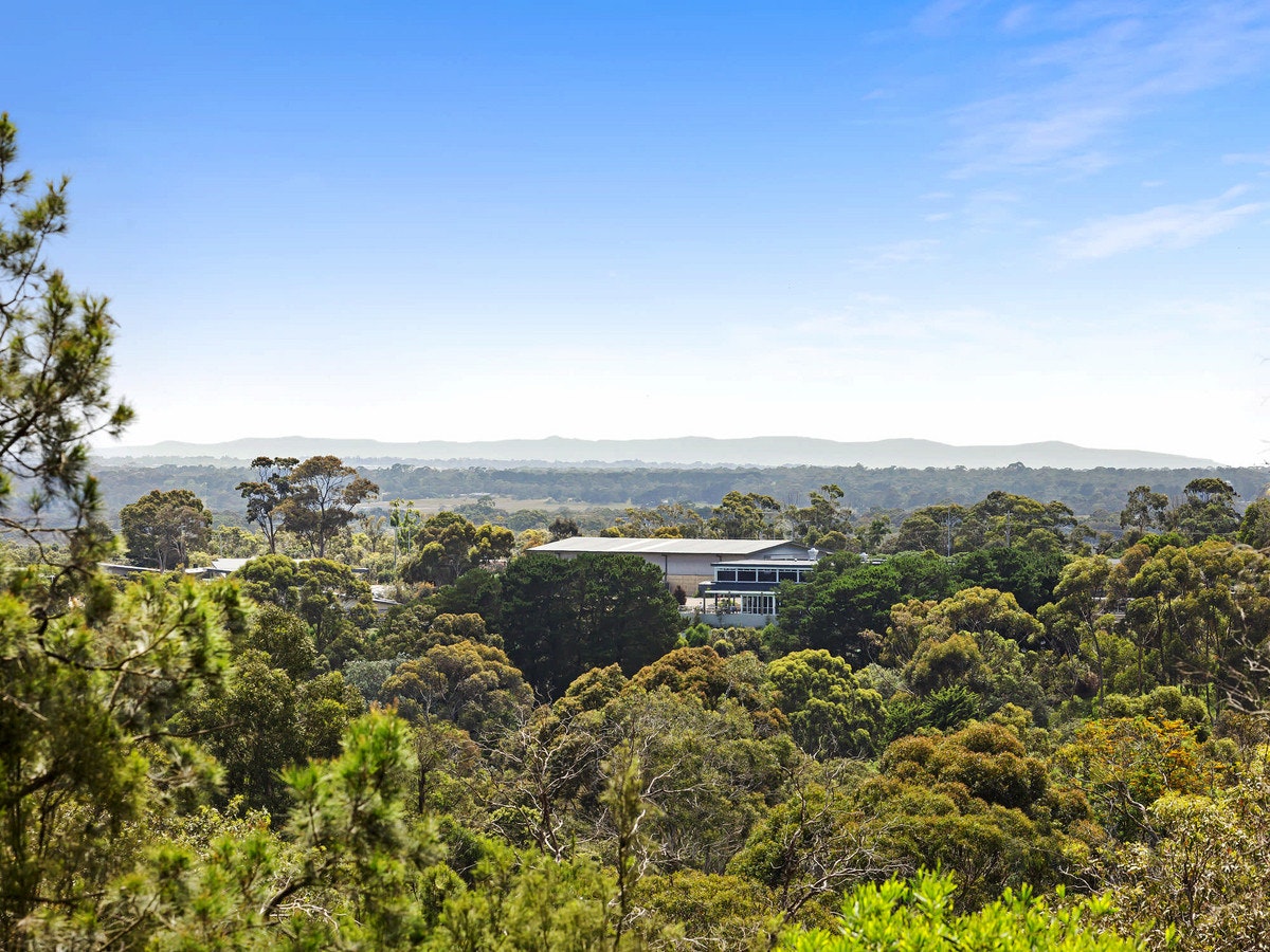 Image of vegetation