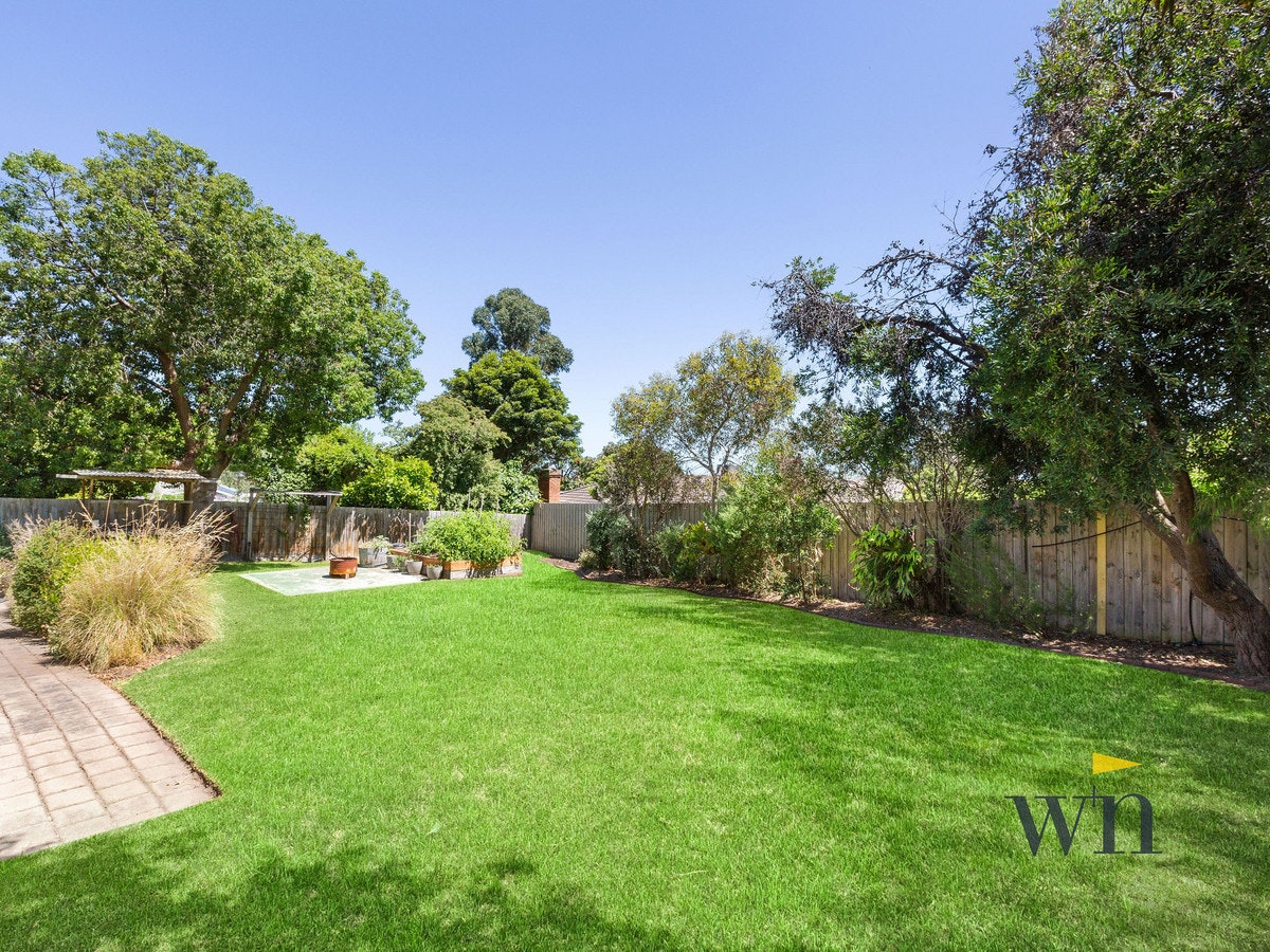 Image of backyard