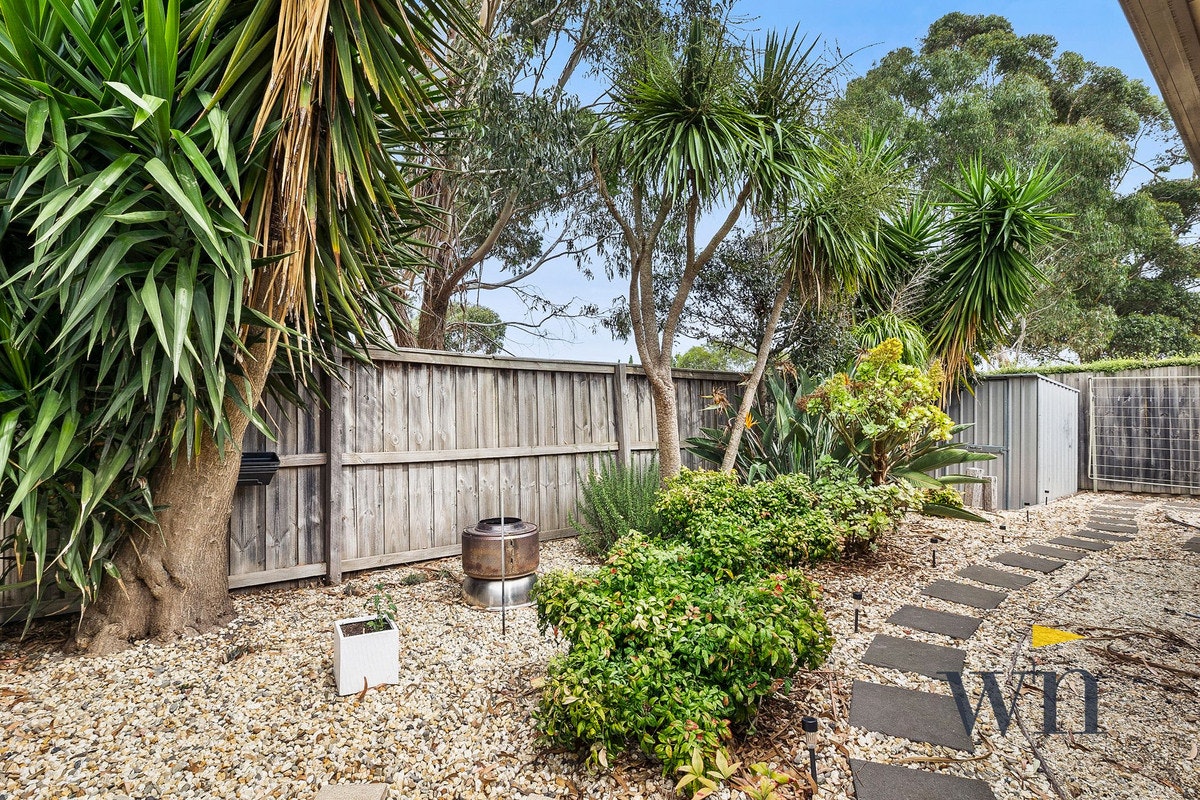 Image of backyard
