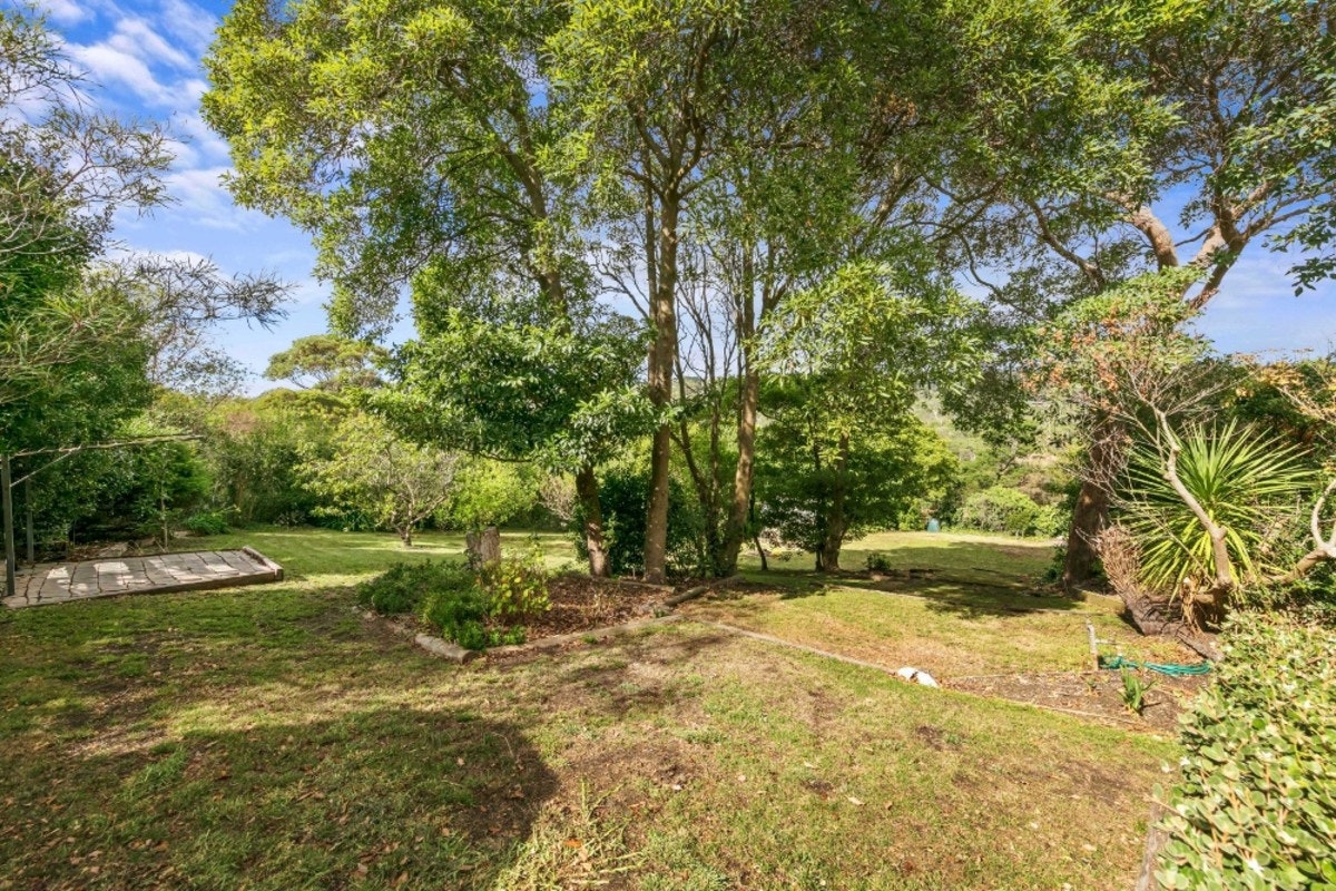 Image of grass