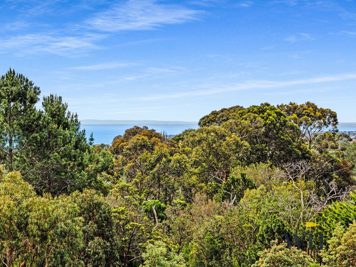 Image of vegetation