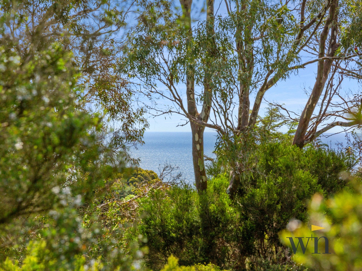 Image of tree