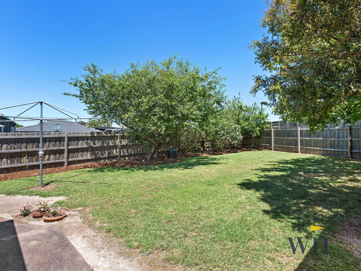 Image of backyard
