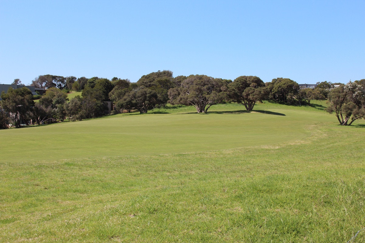 Image of field