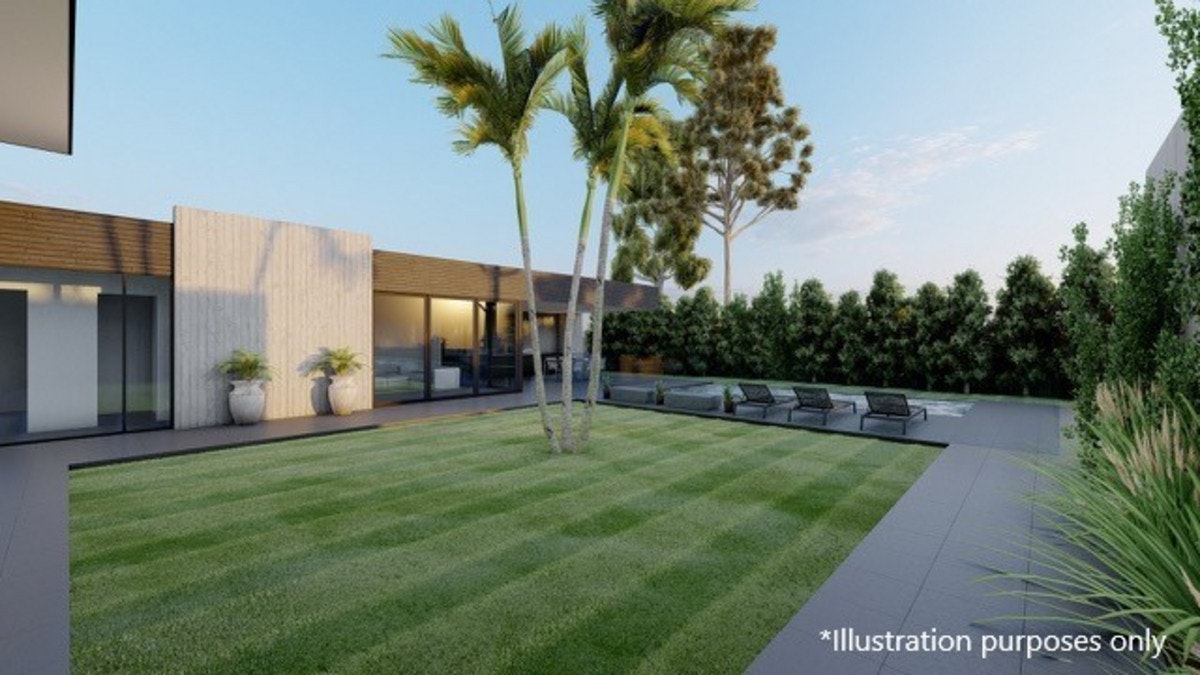 Image of grass