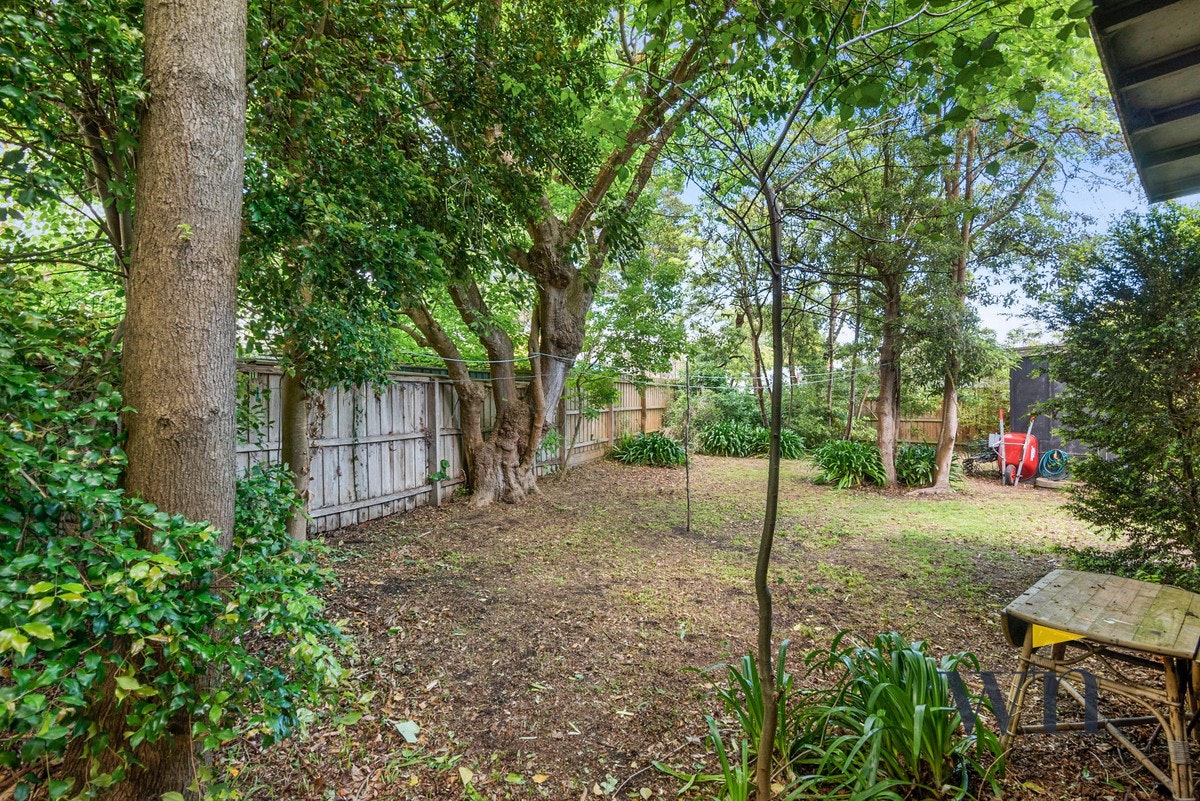 Image of tree