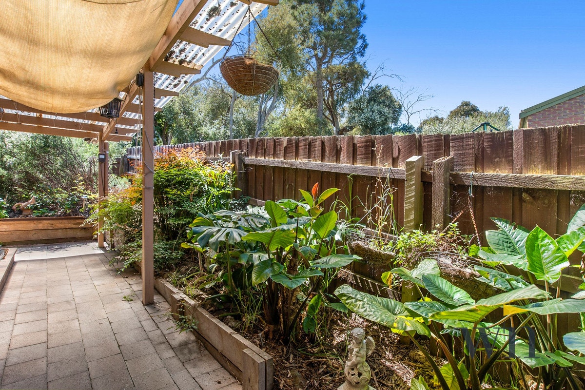 Image of backyard
