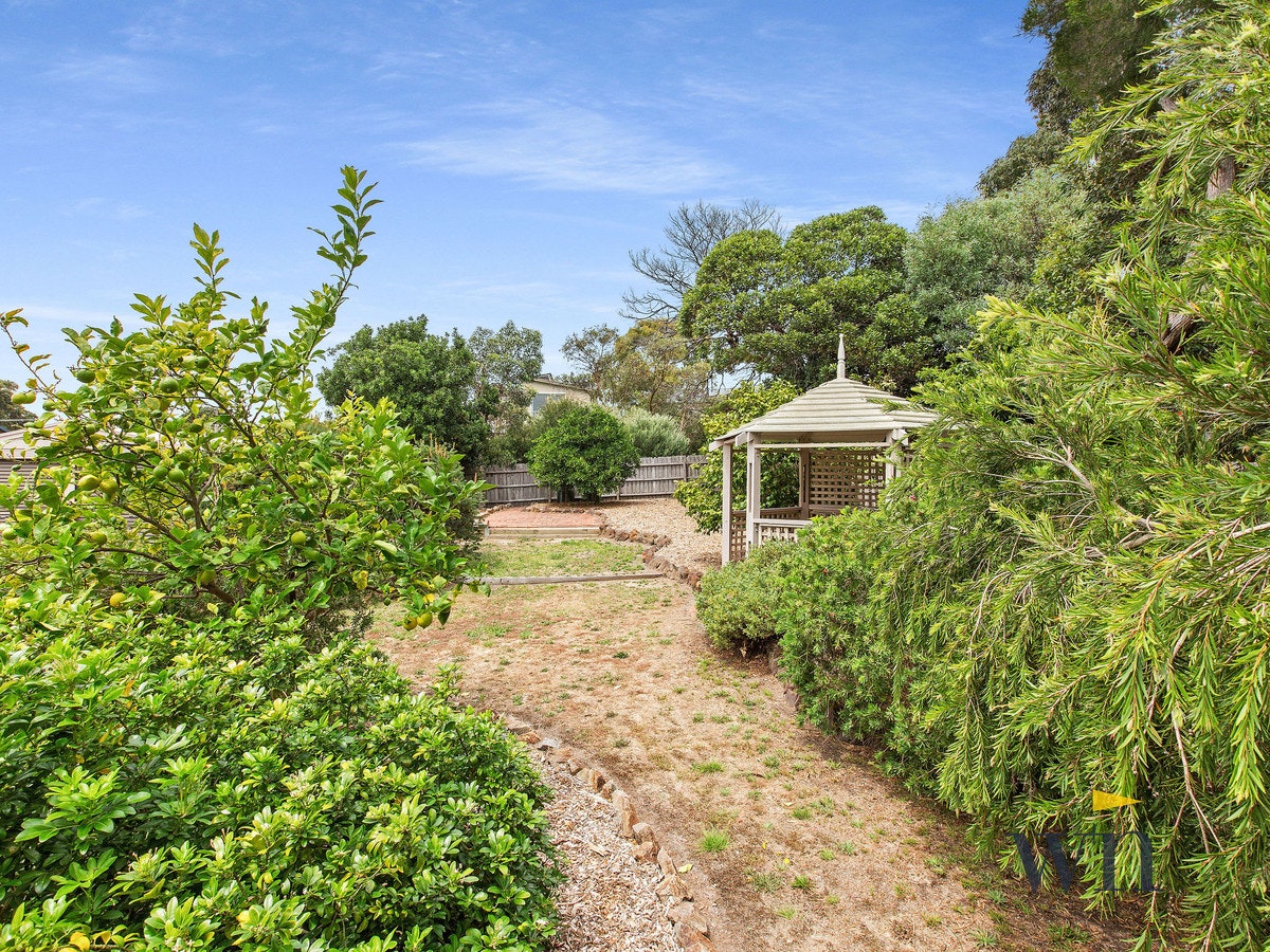 Image of garden