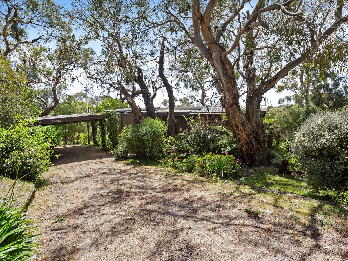 Image of garden