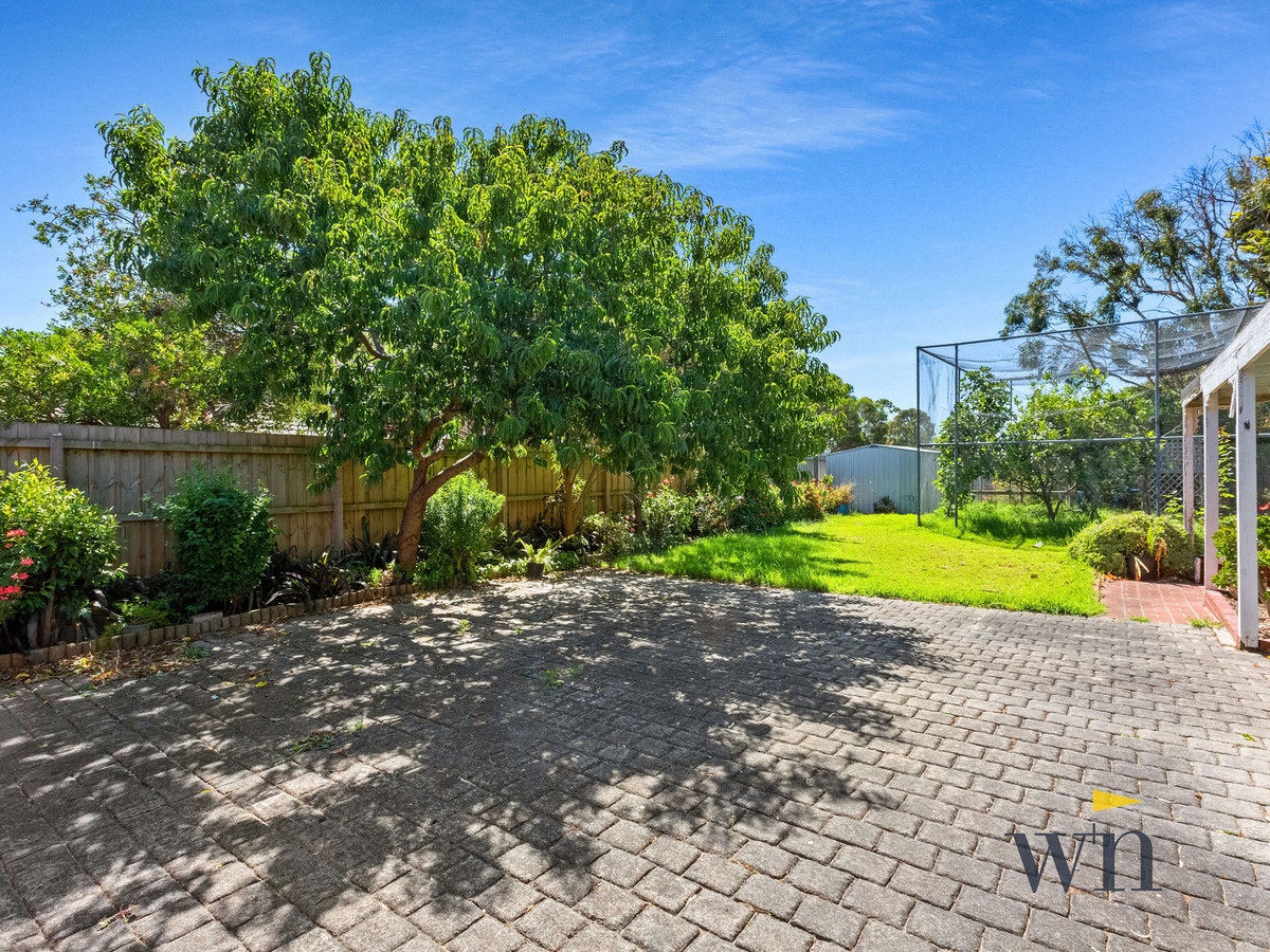 Image of backyard