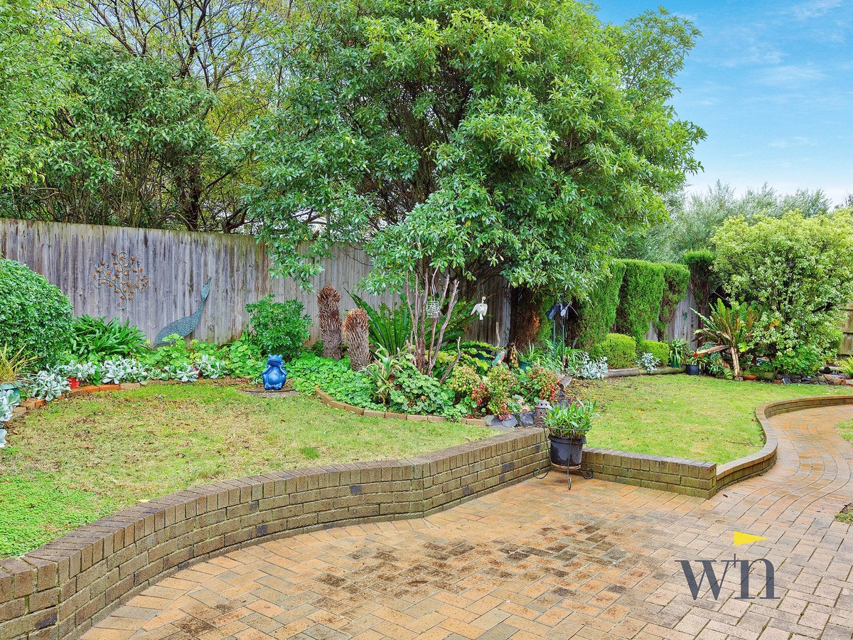 Image of backyard