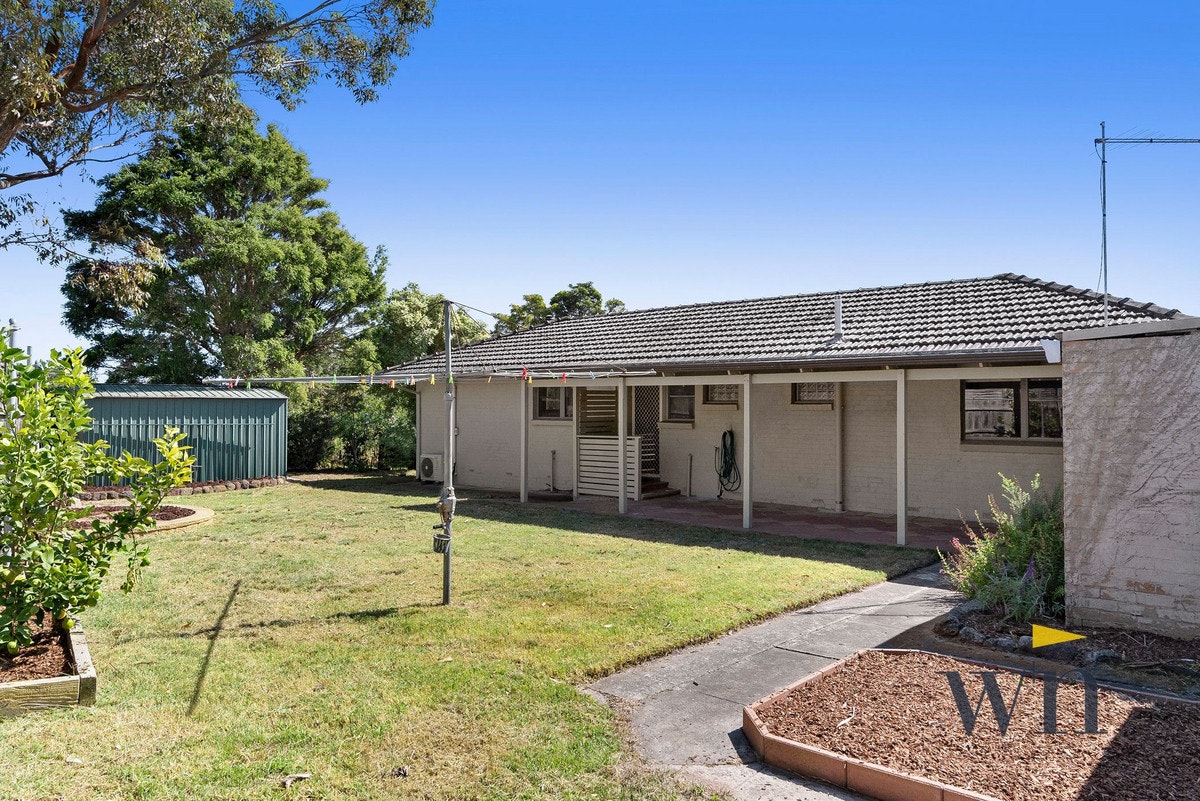 Image of backyard