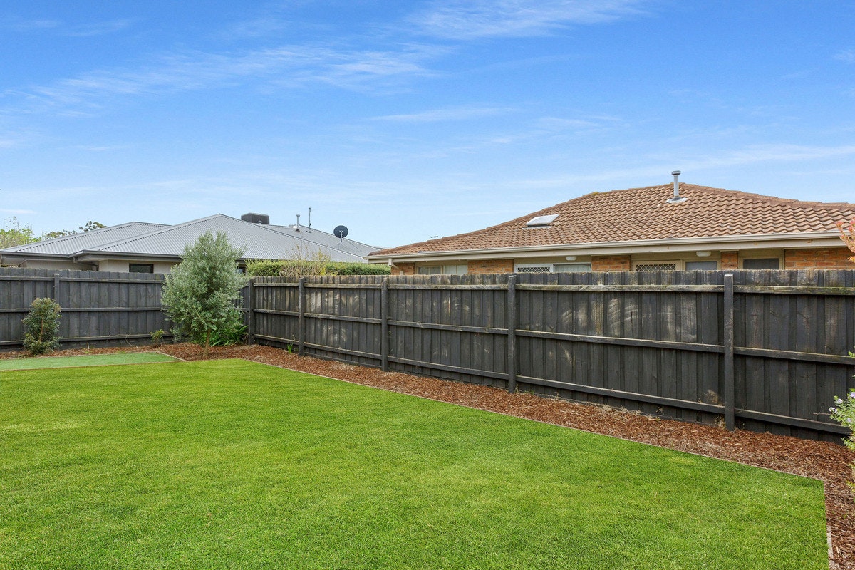 Image of backyard