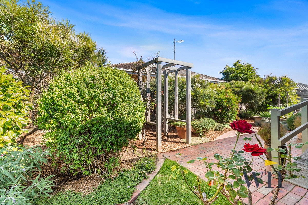 Image of garden