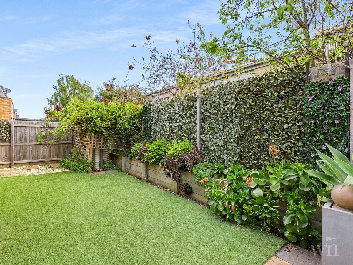Image of backyard