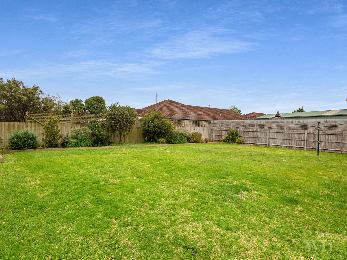 Image of grass