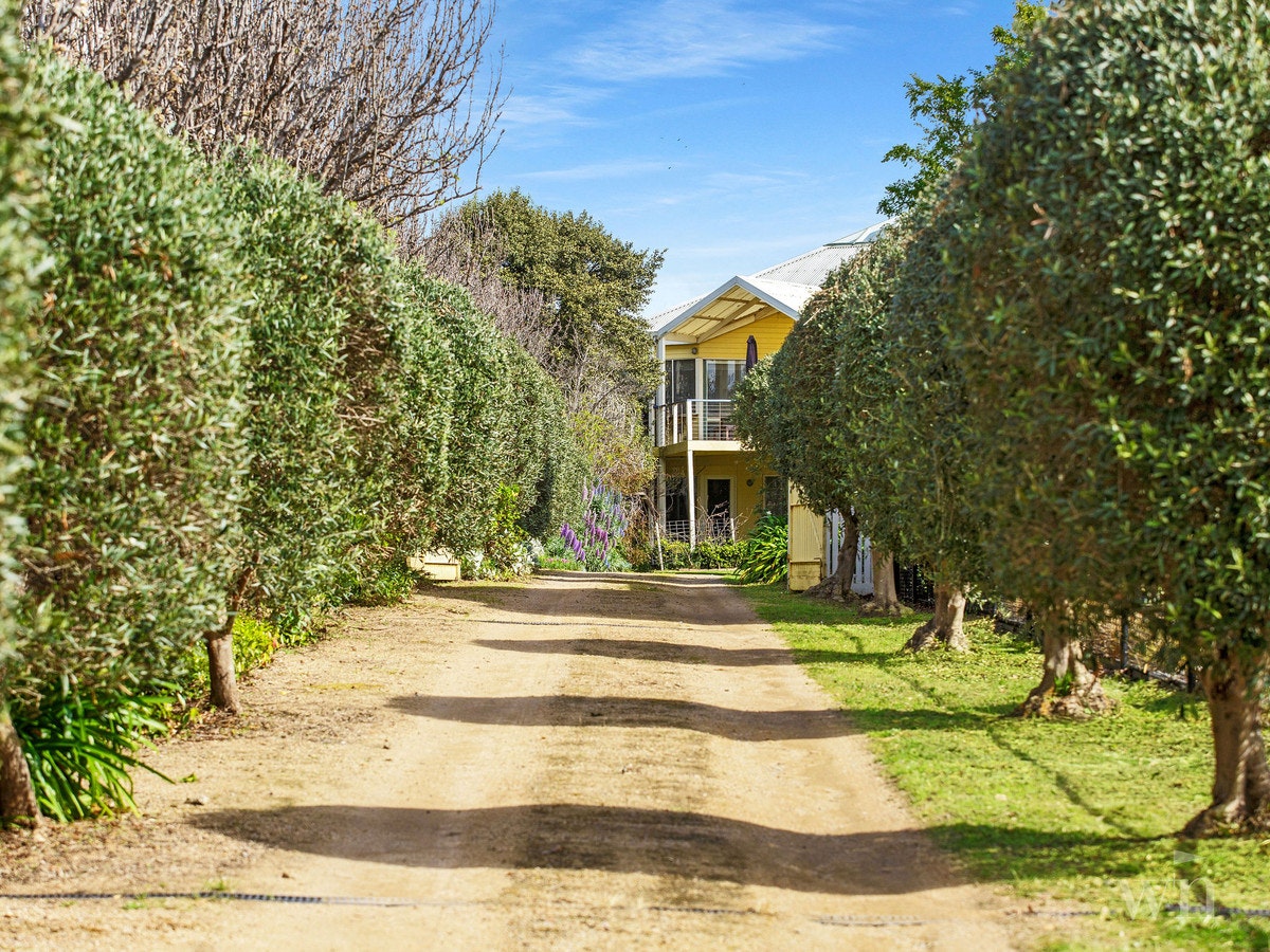 Image of garden