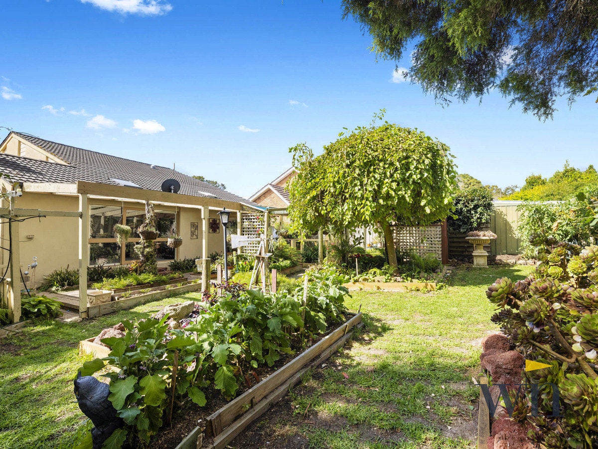 Image of garden