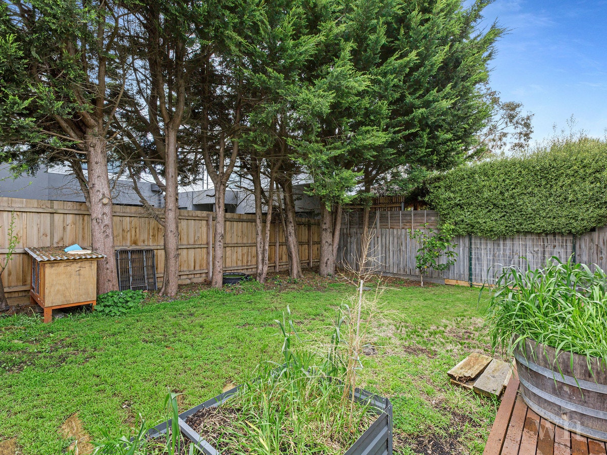 Image of backyard
