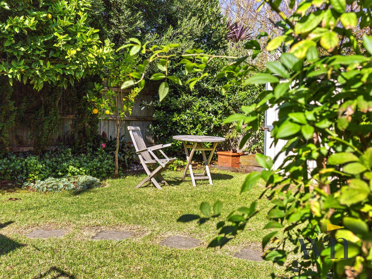 Image of backyard