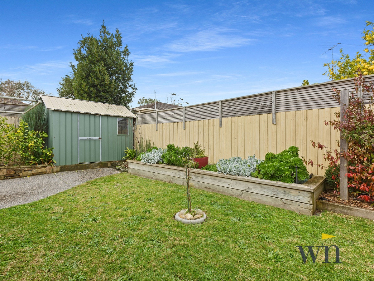 Image of backyard