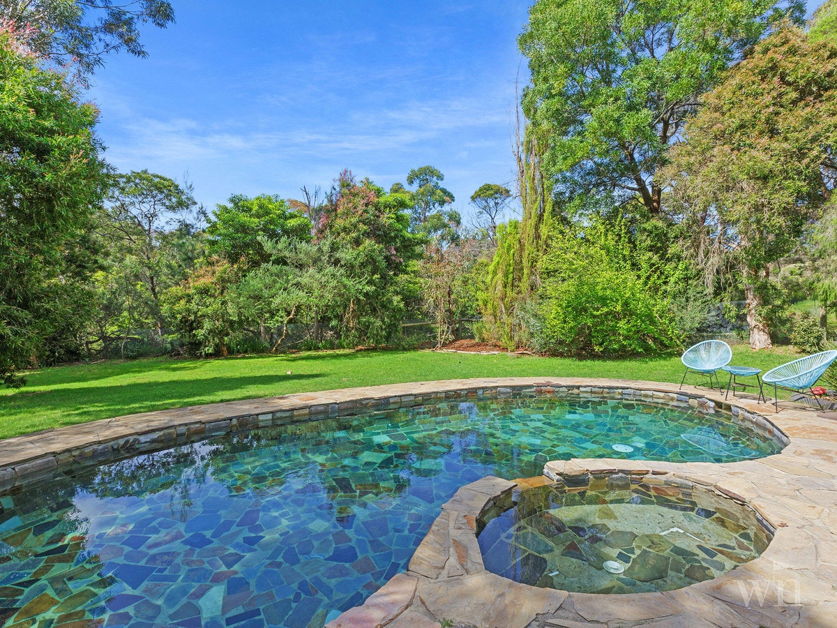 Image of backyard