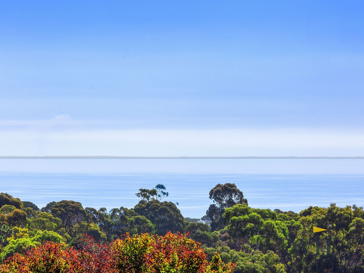 Image of nature