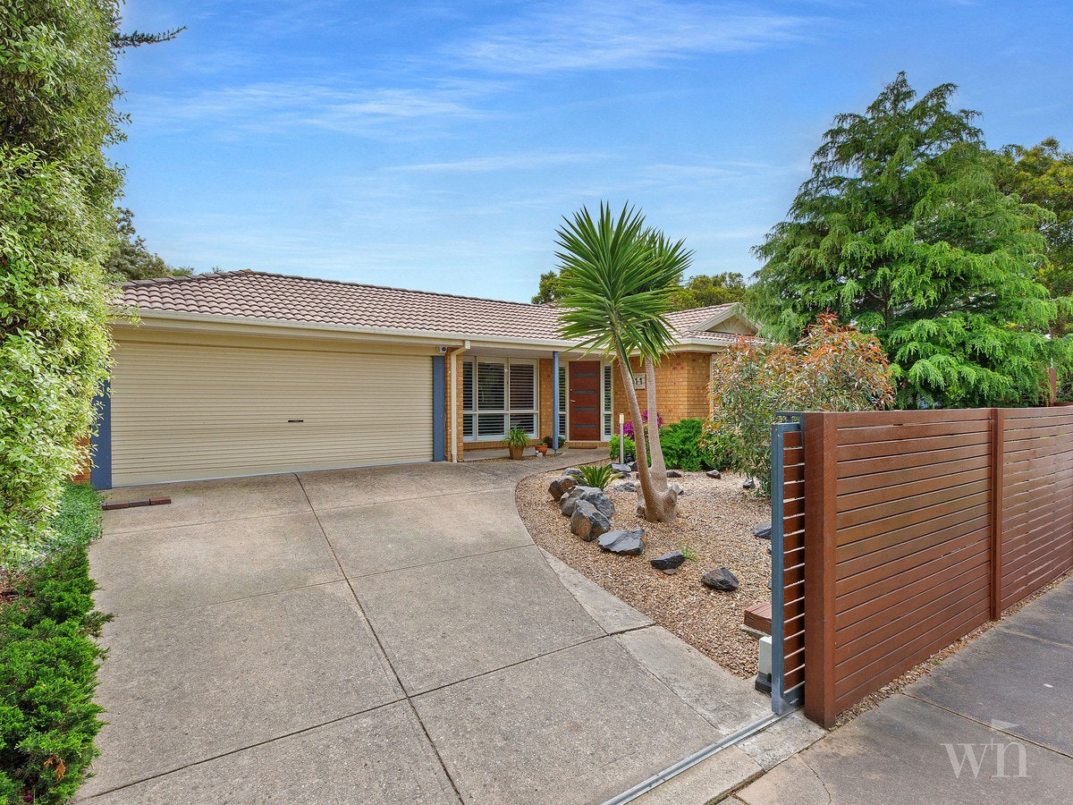 Image of backyard