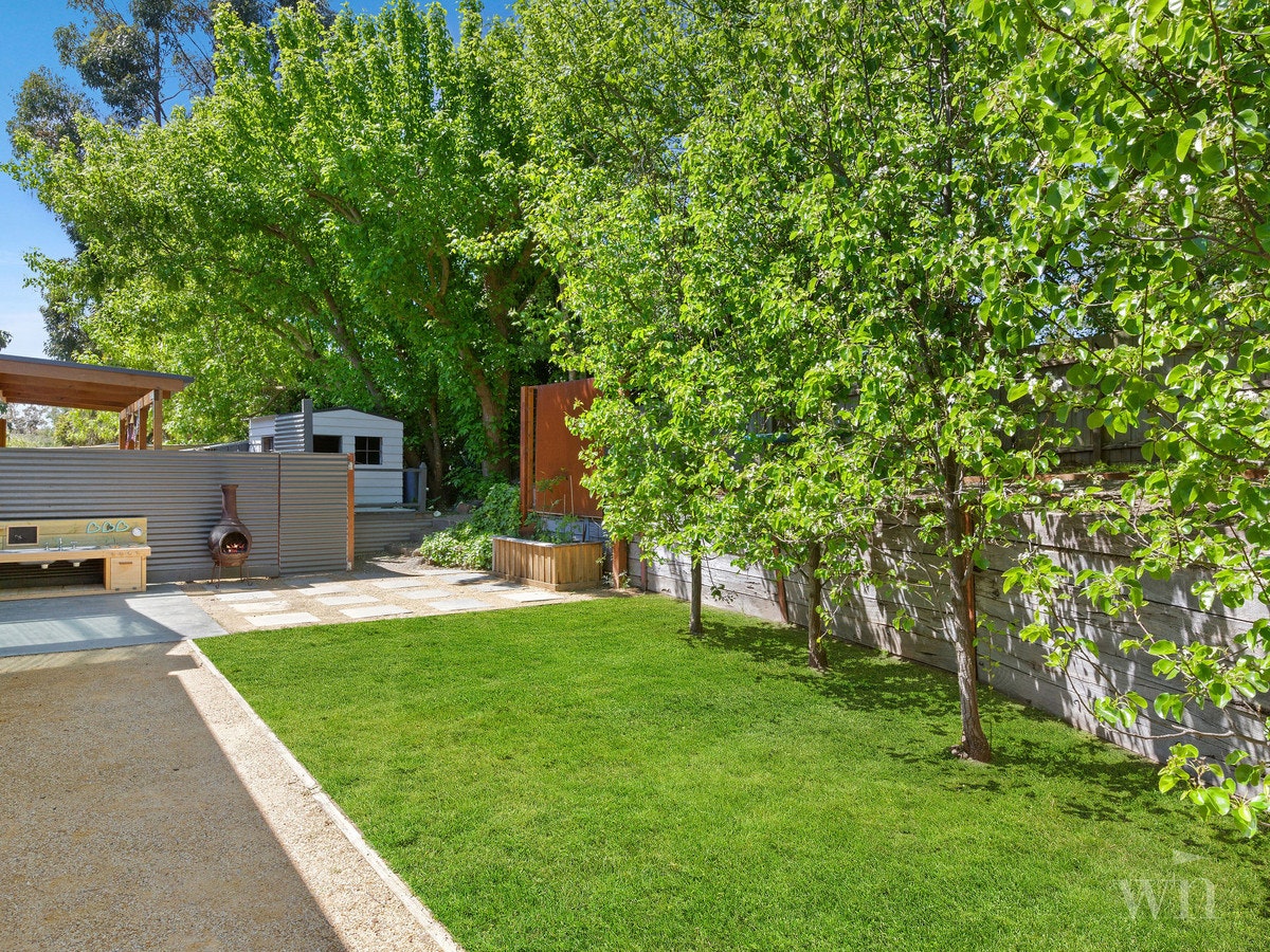 Image of backyard